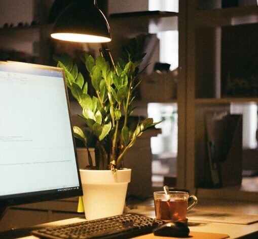 Tips for Creating a Cozy and Organized Home Office Space