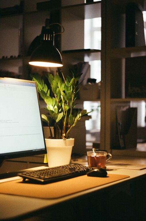 Tips for Creating a Cozy and Organized Home Office Space